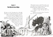 The mysterious ninja 1.png (652 KB) Unreleased version of art