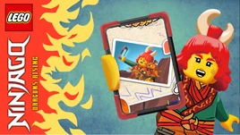 Lessons I Learned in the Wyldness