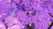 VS Speed 8.gif (9.99 MB)