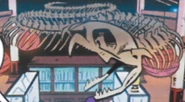 Second Anacondrai Serpent.jpg (99 KB) Serpent skeleton in Chen's collection