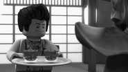 Ninjago Confidential39