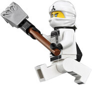 TLNMZane Fig2.jpeg (35 KB)