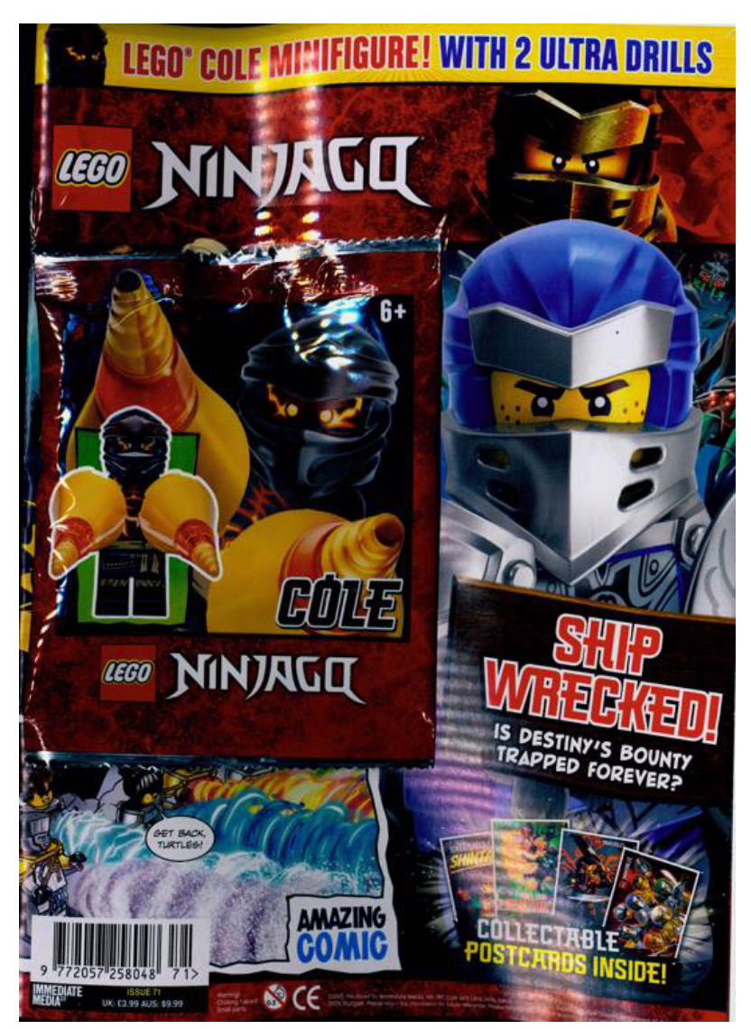 Lego Ninjago Series 5 TCG Trading Cards Card no 19 Desert Nya 