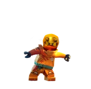 Arin Gallery Ninjago Wiki Fandom