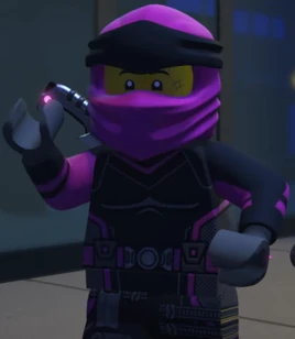 Fuchsia Ninja
