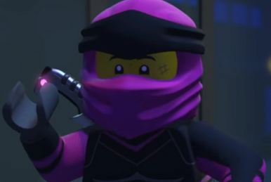 Ninjago new ninja sale