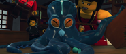 JayOctopus
