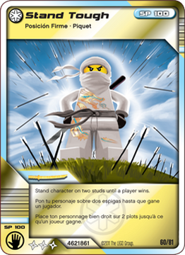 Ninjago 60 sale