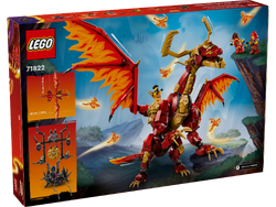 日本選手権 プロモ Dragon of Illumination Dragon of Illumination 遊戯王 店舗予選2期優勝プロモ