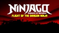 Ninjago Flight of the Dragon Ninja