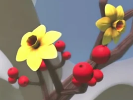 Traveler berries