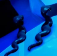 Hypno Vipers