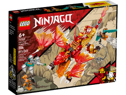Ninjago new arrivals