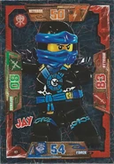 Card 17 - Jay