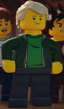 Lego ninjago cole discount costume