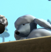 Snickers looking down at their owner