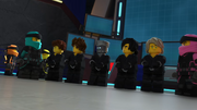 The  arresting the old ninja
