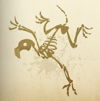 Boney creatures.png