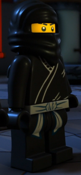 Types of gi | Ninjago Wiki | Fandom