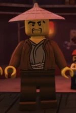 Brown robe Stiix citizen