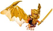 Golden Dragon Cole (trans-orange arms, black torso)