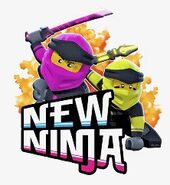 New Ninja promo