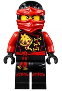 Destiny Kai 70600 Minifigure.jpg (86 KB) Destiny Kai minifigure
