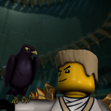 Falcon Ninjago 2024 www.gemologytidbits