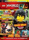 Rogue Ninja!