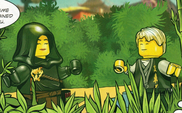 My take on Cole's mother, Alliyah, made on AzaleasDolls Heroine Fan-Art Creator : r/Ninjago