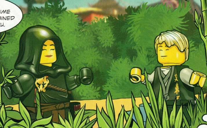 My take on Cole's mother, Alliyah, made on AzaleasDolls Heroine Fan-Art  Creator : r/Ninjago