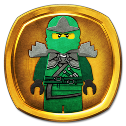 Types of gi | Ninjago Wiki | Fandom