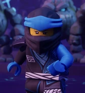 Dojo suit Nya.jpeg (143 KB) Dojo (hood)