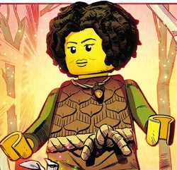Elemental Alliance | Ninjago Wiki | Fandom