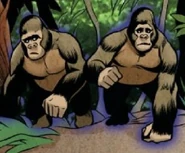Dark Gorillas.jpg (130 KB) Gorillas