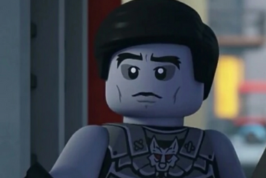 Ninjago master of shadow shop