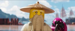 lego ninjago movie fuchsia ninja