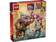 71819 alt2.webp (171 KB)