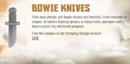 Bowie Knives