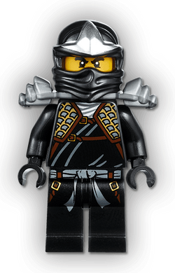 Types of gi | Ninjago Wiki | Fandom