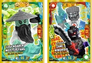 Possible cards to be included with "Multi-Pack 2s" (Card LE22 - Legendary Master Yang Limited Edition or Card LE23 - Epic Zane vs Nindroid Limited Edition)