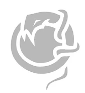 Original Green Ninja symbol