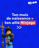 Nya France TV.jpeg (228 KB)