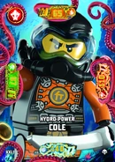 Card XXL1 - Hydro Power Cole