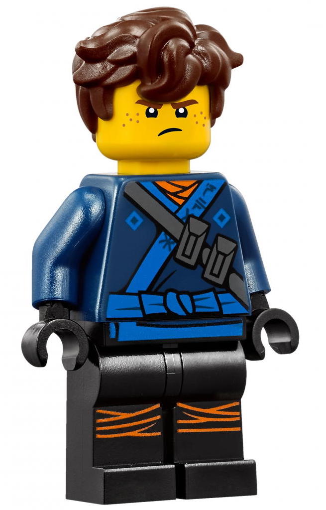 Lego® Ninjago Tempelwächter Lion Guard aus Set 70617 