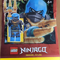 Ninjago polybag 2020 hotsell
