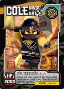 NinjagoWarriorColeCard.jpg (588 KB) Cole card
