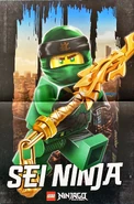 Ninjago Magazine 34-poster 2.png (5.55 MB) Poster 2 (German)