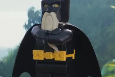 5007961 Sora | Ninjago Wiki | Fandom