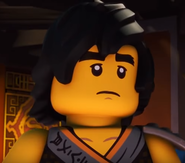 Cole from Lego Ninjago: Masters of Spinjitzu.